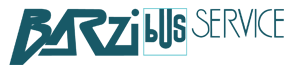 Logo_Barzi_Linkavel