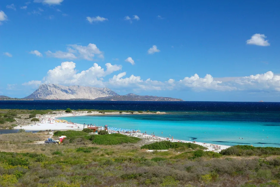 bus-san-teodoro_Tueco_linkavel